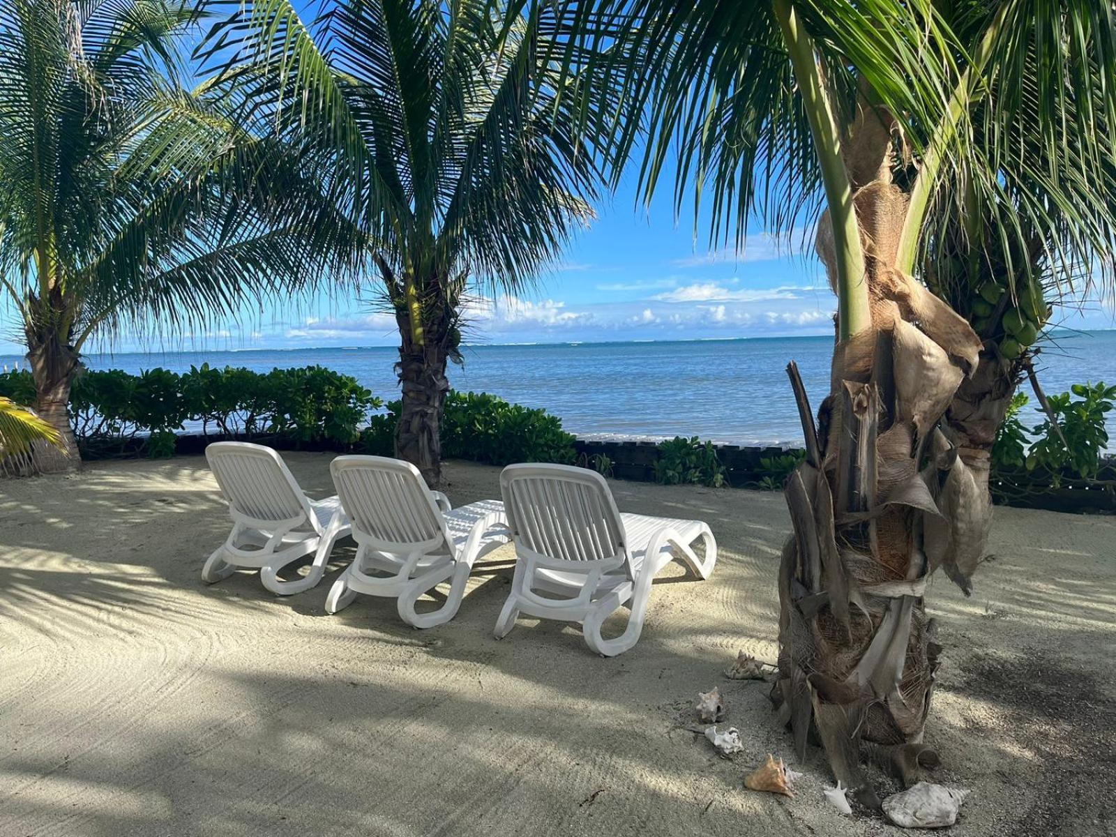 Captain Morgan'S Retreat San Pedro (Ambergris Caye) Exterior foto