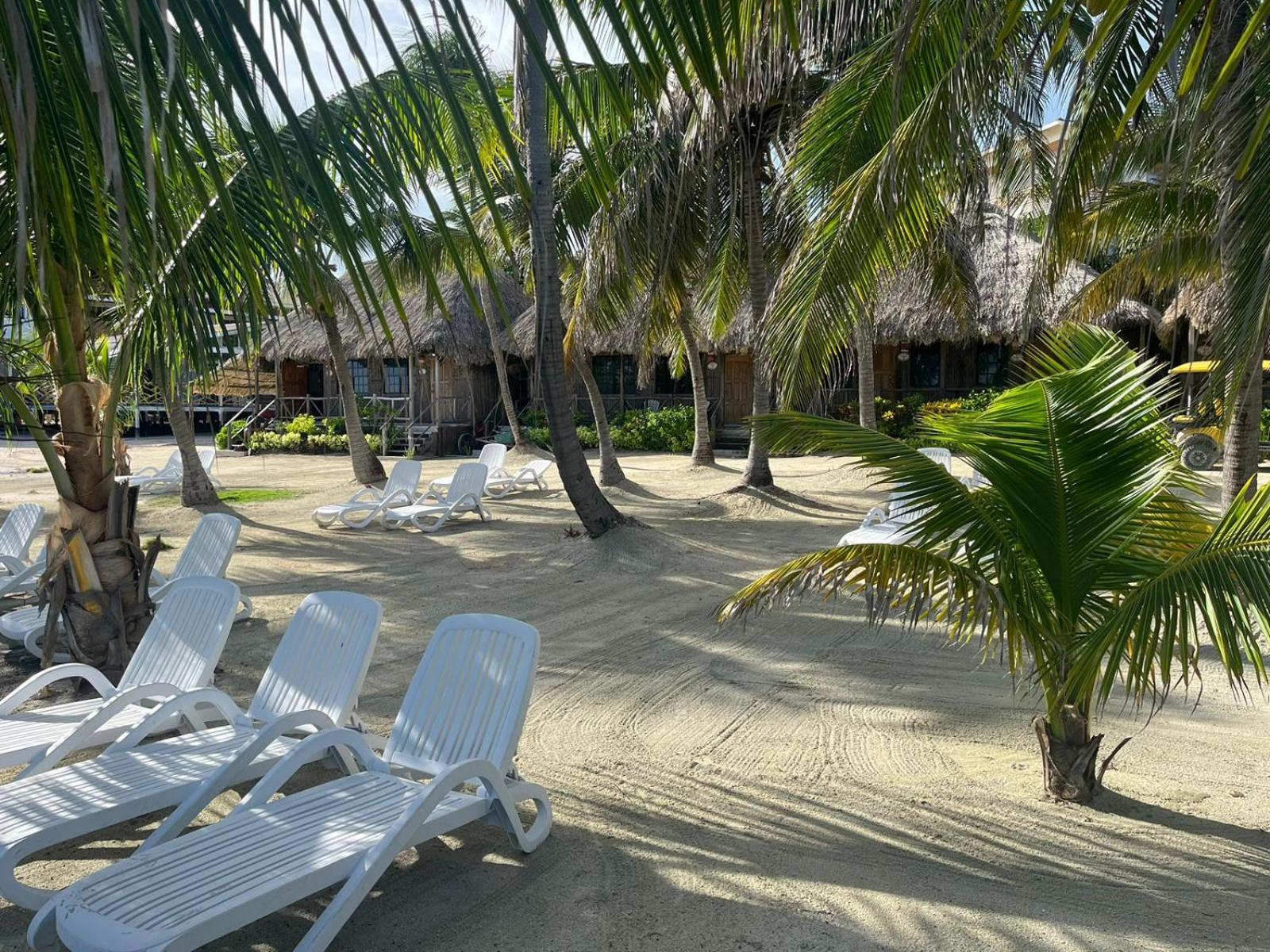 Captain Morgan'S Retreat San Pedro (Ambergris Caye) Exterior foto